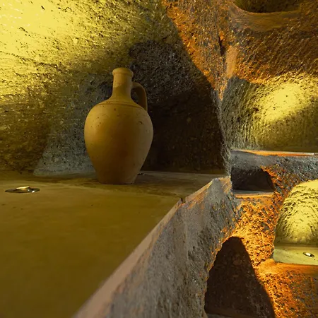 Tyana Cave House 아파트